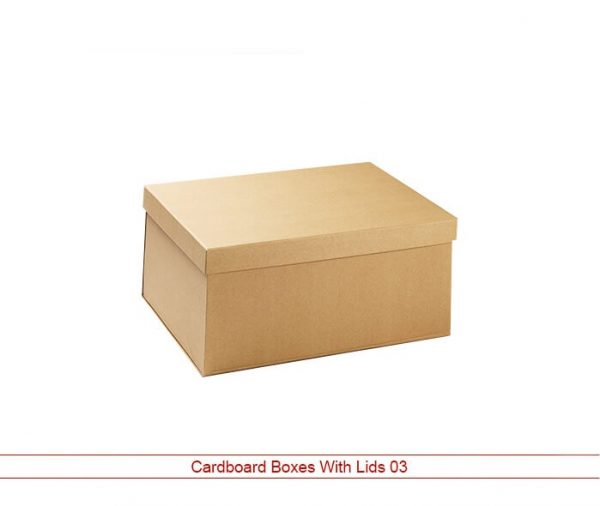 Cardboard Boxes Wholesale Lid
