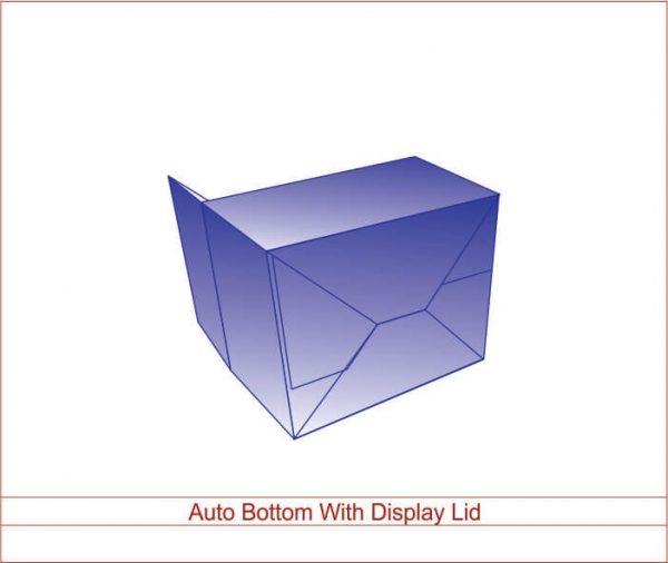 Auto Bottom With Display lid 03