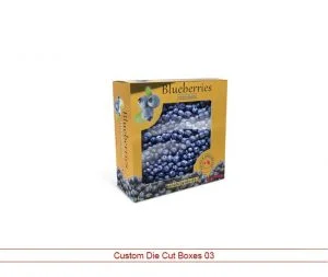 Custom Diecut Boxes 03